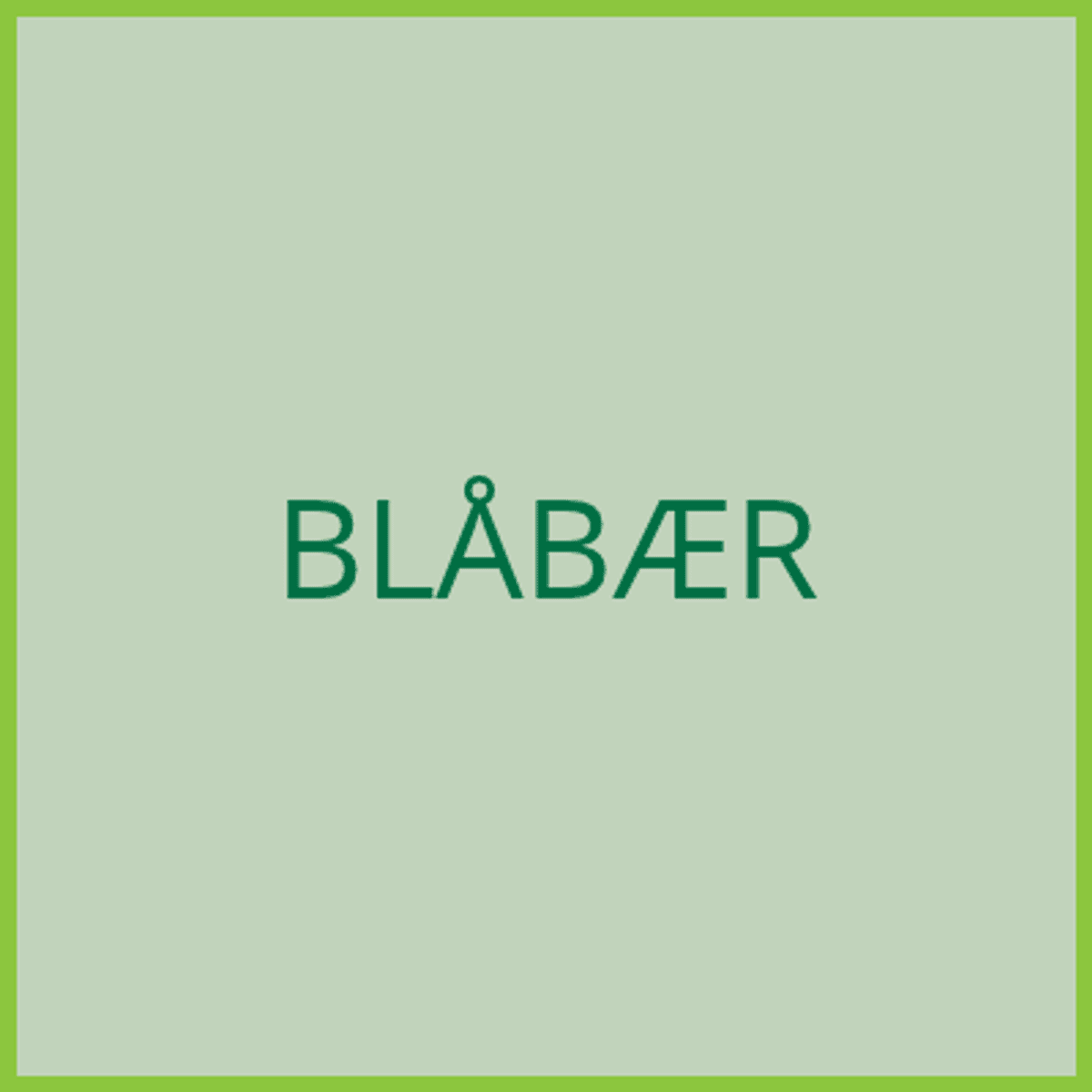 Blåbær - pluggplante - levering 2027