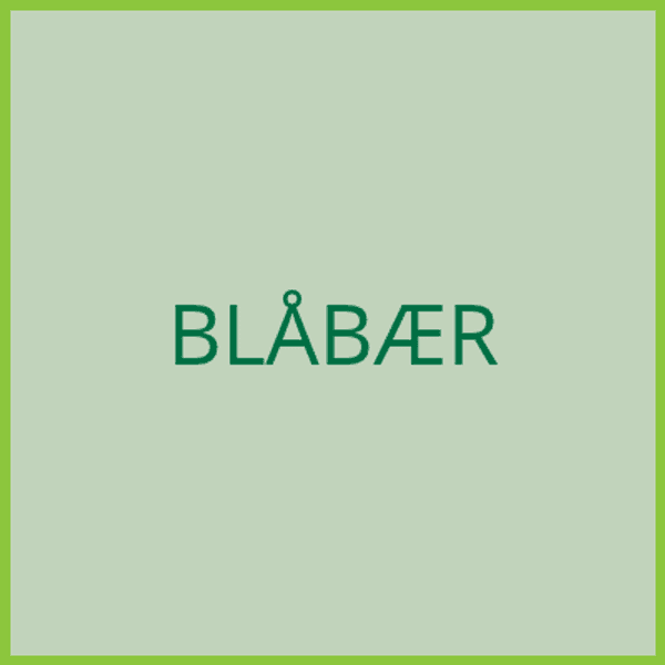 Hovedbilde Blåbær - pluggplante - levering 2027