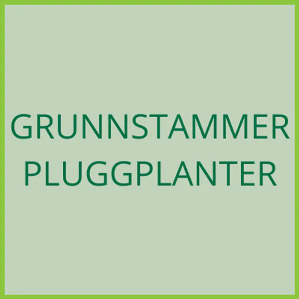 Hovedbilde Grunnstammer, pluggplanter - levering 2027